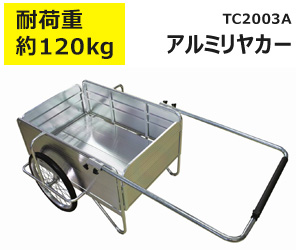 tc3004