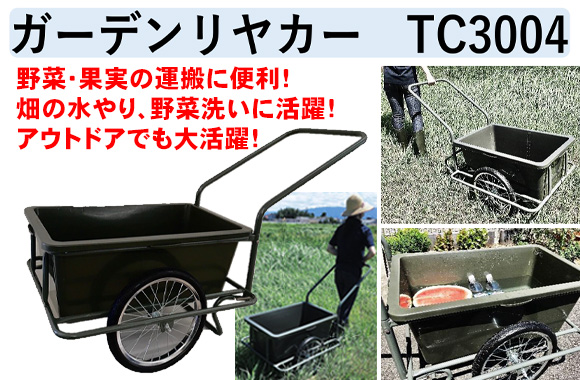 tc3004