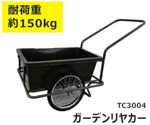 tc3004